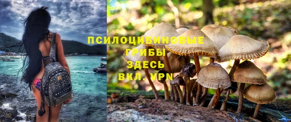 скорость Алексеевка