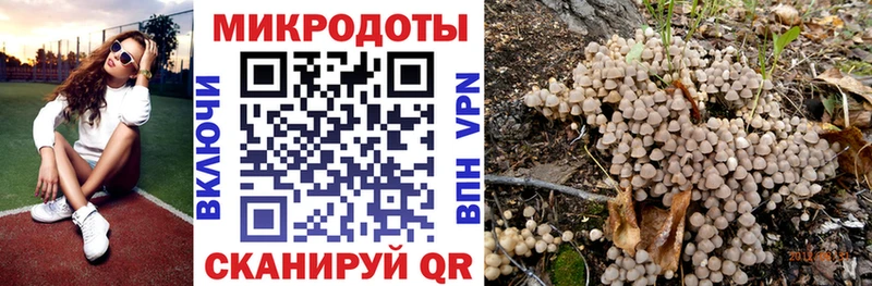 Псилоцибиновые грибы мицелий  Купить  Курск 